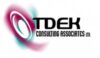 TDEK Consulting Associates